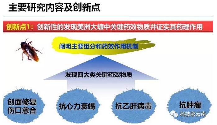 鼎博·(中国游)有限公司官网