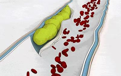 鼎博·(中国游)有限公司官网