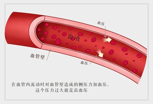 鼎博·(中国游)有限公司官网