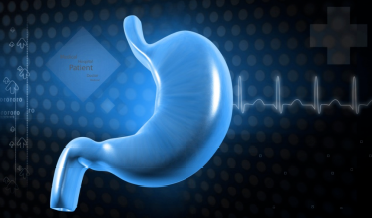 鼎博·(中国游)有限公司官网