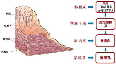 鼎博·(中国游)有限公司官网