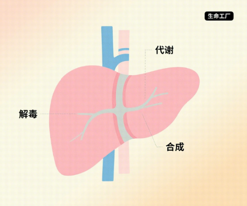 鼎博·(中国游)有限公司官网