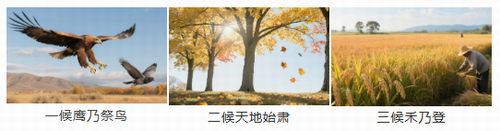 鼎博·(中国游)有限公司官网